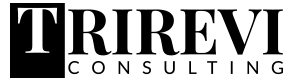 Trirevi Consulting